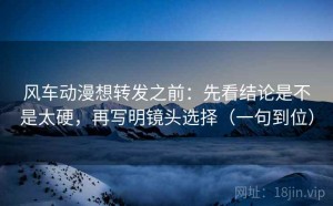 风车动漫想转发之前：先看结论是不是太硬，再写明镜头选择（一句到位）