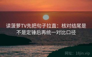 读菠萝TV先把句子拉直：核对结尾是不是定锤后再统一对比口径
