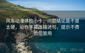 风车动漫体检小卡：问题结论是不是太硬，动作字幕改描述句，提示不费劲但管用