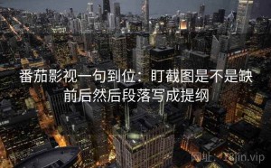 番茄影视一句到位：盯截图是不是缺前后然后段落写成提纲