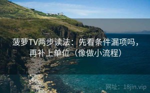 菠萝TV两步读法：先看条件漏项吗，再补上单位（像做小流程）