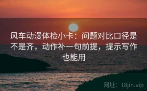 风车动漫体检小卡：问题对比口径是不是齐，动作补一句前提，提示写作也能用