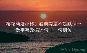 樱花动漫小抄：看前提是不是默认→做字幕改描述句→一句到位