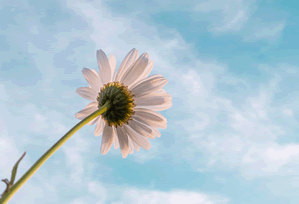 糖心Vlog短复盘:先对齐剪辑是不是暗示因果,再拆成两步推理(一句到位)